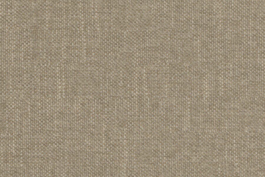 Perfecto 20 - Fossil