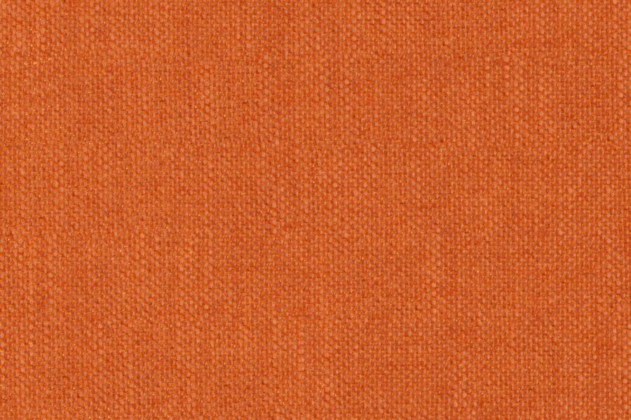 Perfecto 32 - Carrot